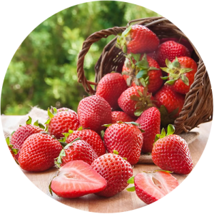 Amandine - Fraise